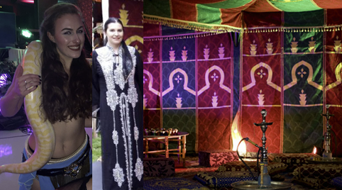 Shisha lounge Alice in Wonderland, Offerte shisha voor een themafeest